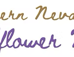 Northern Nevada Wildflower Montessori